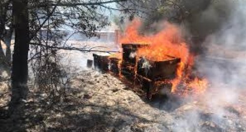 Orman yangınlarında 1.200 kovan yandı